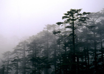 峨眉山瓦屋山国家森林公园天气